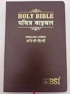 ESV Hindi Bible  English/Hindi (Lthlook) Black / Burgundy