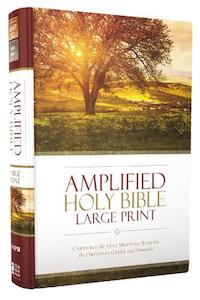 Amplified: Amplified Bible L/P (H/B)