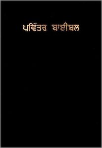Punjabi: Bible  Punjabi (Vinyl Black)