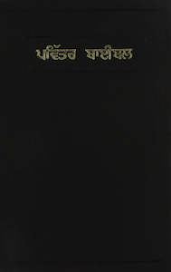 Bible Punjabi Common Language Black Vinyl