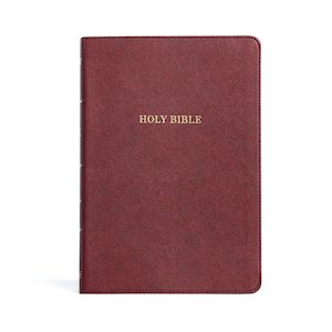 KJV Large Print Thinline Bible, Burgundy LeatherTouch