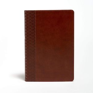 Kjv: KJV Everyday Study Bible - British Tan Leather touch