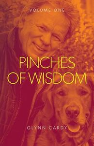 Teaching: Pinches of Wisdom Vol 1