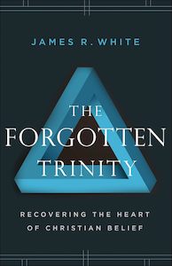 Preaching: Forgotten Trinity: Recovering the Heart of Christian Belief
