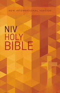 Niv Translation: NIV Value Outreach Bible