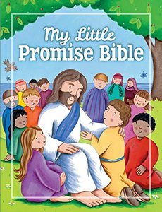 My Little Promise Bible by David Juliet