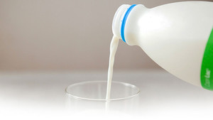 Products: Fresh Goat Milk Cilantro Cheese