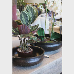 Cc Interiors: Marbella Bowl