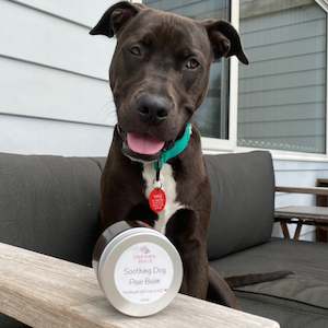 Doggies Paw Balm: Doggie Paw Balm