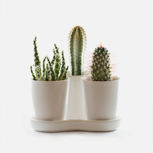 Products: BIOPOND X PLUS SDS Cisbay Australia