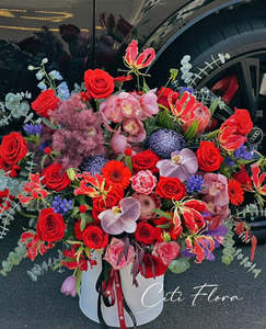 Browse: Opulent Openings