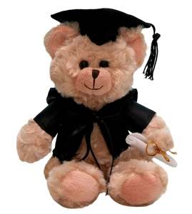 Graduation: Bright Spark Teddy