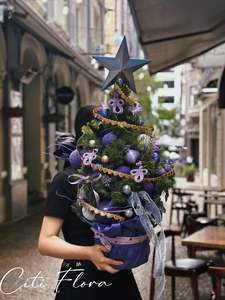 Living Christmas Trees