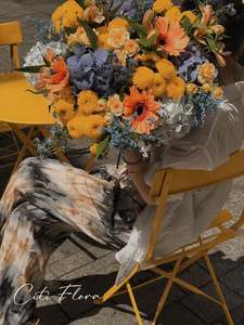 Browse: Vivid Reverie