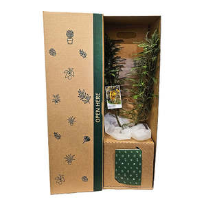 Browse: Kowhai Shrub