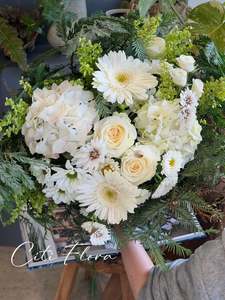 Browse: Chateau Morning