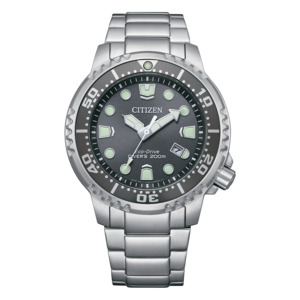 Silver Watches: Promaster Marine