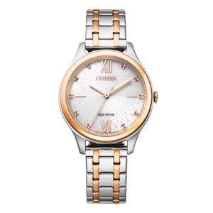 Womens Two Tone Watches: Classic