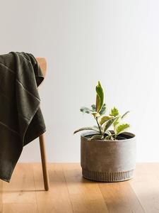 Harvest Planter