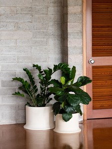 Rise Planter