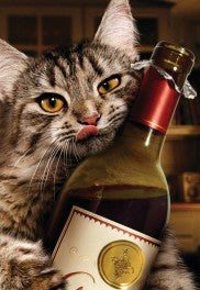 Greeting Cards: Card Avanti Assorted Humour