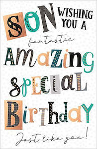 Greeting Cards: Card $6.99 Son An Amazing Special Birthday