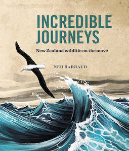 Childrens Non Fiction: Incredible Journeys Ned Barraud