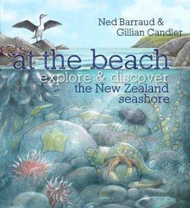 Childrens Non Fiction: At the Beach Explore & Discover the New Zealand Sea Shore
