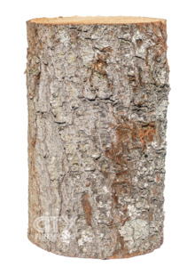 Click Collect: Click & Collect Chopping Block - From $30.00