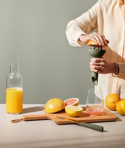 Fathers Day Picks: Green Tool Citrus Press