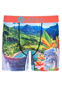 Adult Underwear: Ethika Island Time Mid Fit