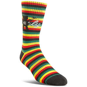 Adult Socks: ETNIES GRIZZLY CREW SOCK [MULTI]