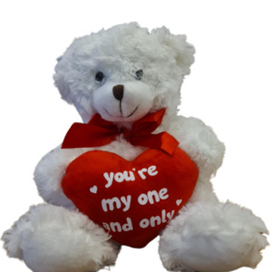 Valentines Day Christchurch: You're my One and Only Teddy Bear