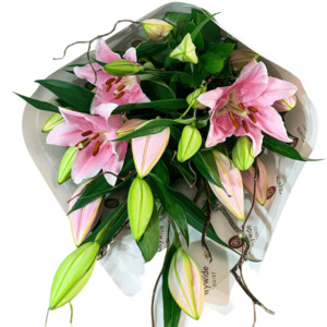 Valentines Day Christchurch: Luscious Pink Lilly Bouquet (in bud)