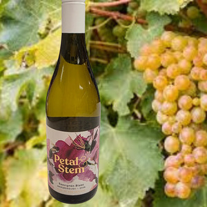 Products: Petal & Stem Sauvignon Blanc Wine