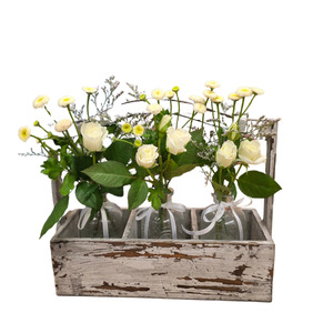 Mothers Day Flowers Giftbaskets Christchurch: Window Sill Brightener
