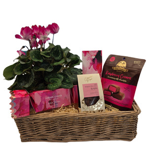 Mother's Day Cyclamen Gift Box