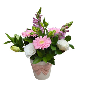 Pretty Bow Pot