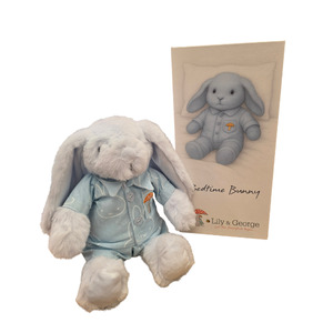 All Gift Baskets Boxes Hampers: Bedtime Blue Bunny with Gift Box