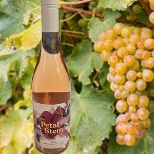 Mens Gift Basket: Petal & Stem Rose Wine