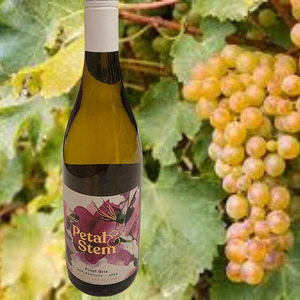 Mens Gift Basket: Petal & Stem Pinot Gris Wine