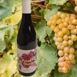 Mens Gift Basket: Petal & Stem Merlot Wine
