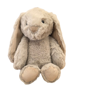 Florist Hororata: Flopsy Biscuit Teddy
