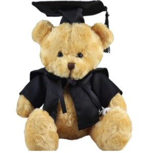 Graduation Flowers And Gifts Christchurch: Brainy Box Graduation Bear