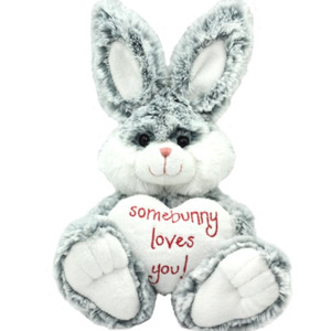 Some Bunny Love You Soft Toy