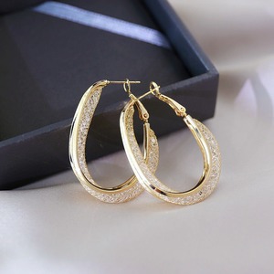 Monique Crystal Mesh Oval Hoop Earrings