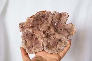 Amethyst: Pink Amethyst XL Geode #1