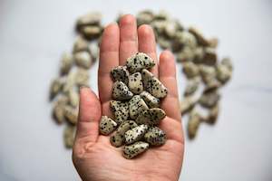Dalmation Jasper Tumblestone