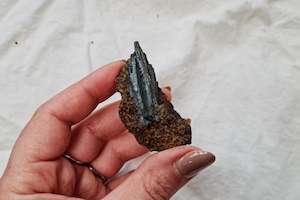 Vivianite On Matrix #3