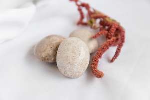 Whats New: Agatized Coral Palmstones